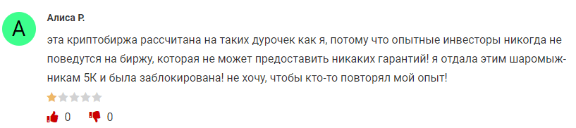 bitfloer отзывы