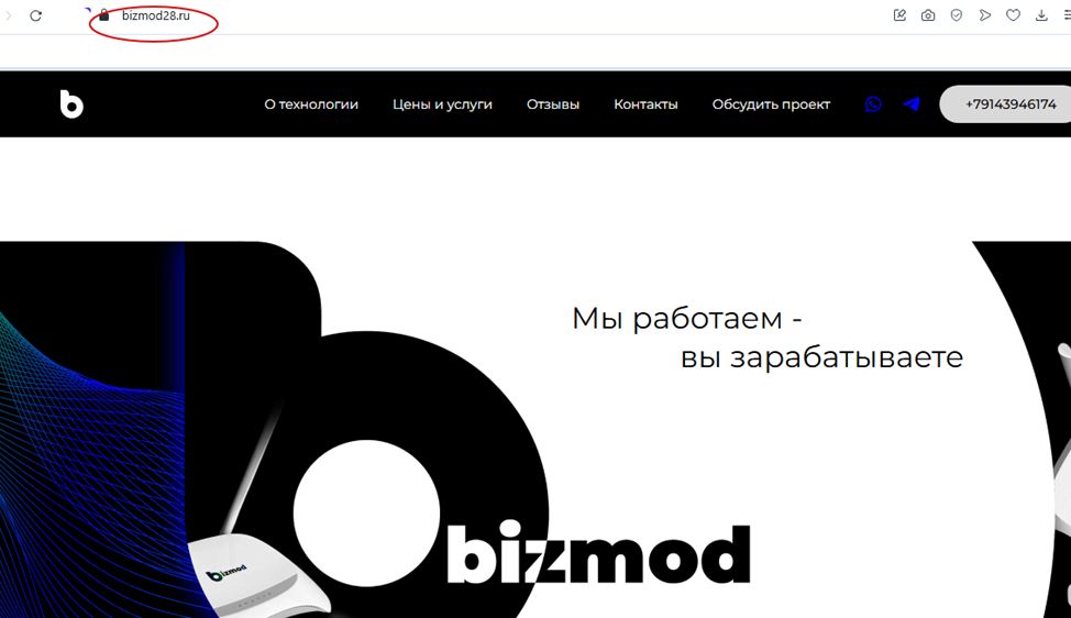 bizmod