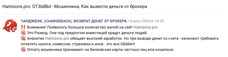 hamizons pro отзывы