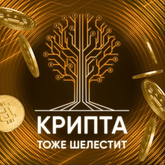 Крипто Шелест Павлодар