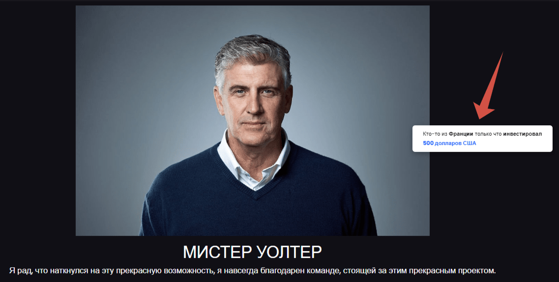 телеграмм dualx capitals com