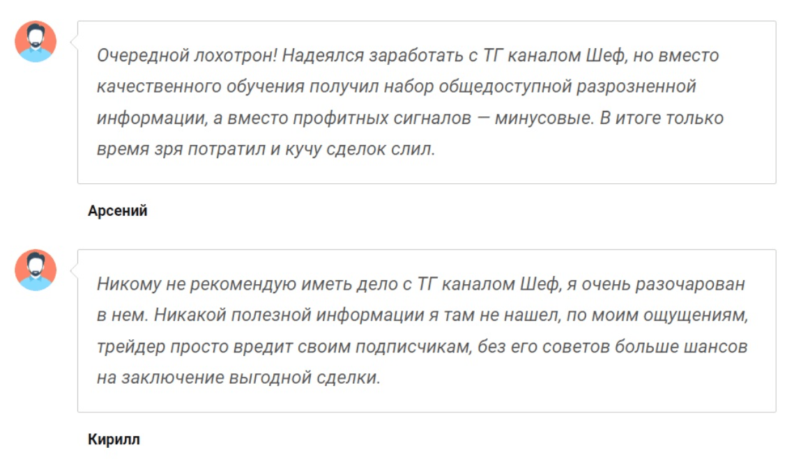 академия шефа отзывы