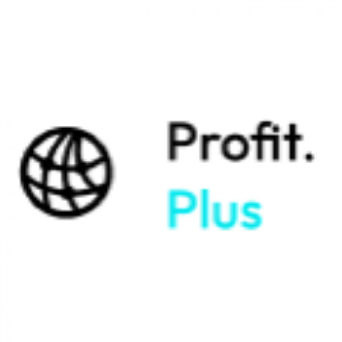 Profit Plus