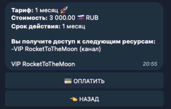 rocket to the moon инвестиции