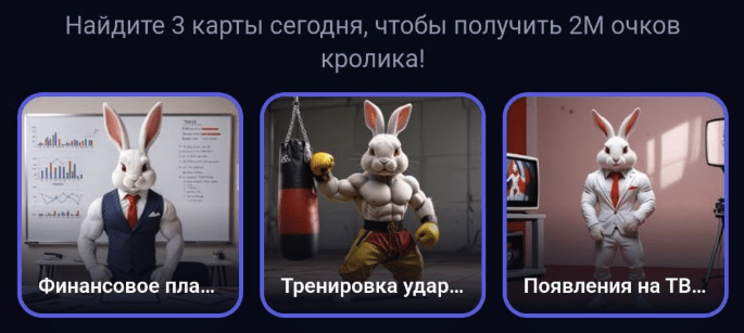 Rocky Rabbit