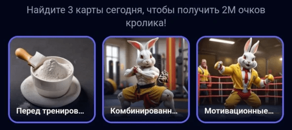 Rocky Rabbit комбо дня