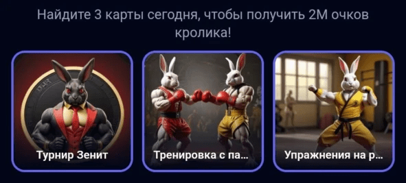 Rocky Rabbit комбо дня