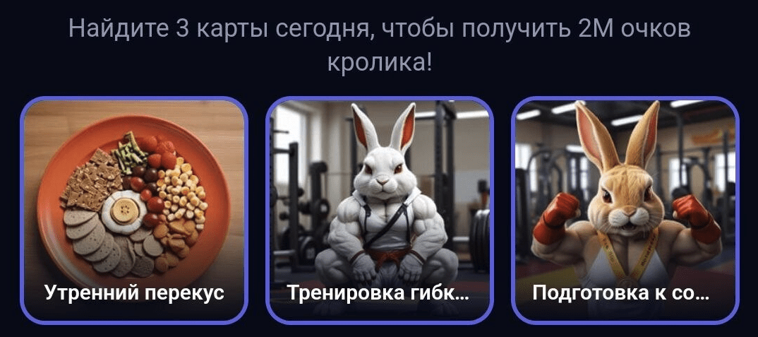 Rocky Rabbit комбо дня