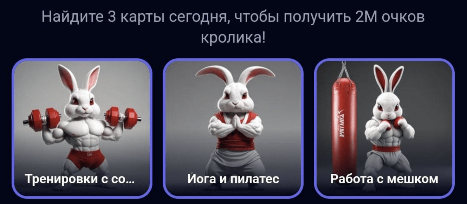 Rocky Rabbit комбо дня