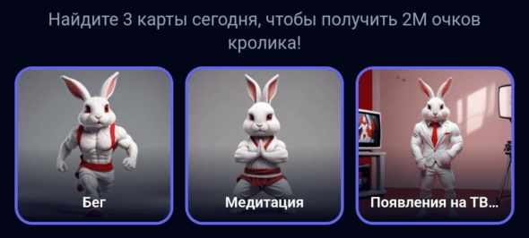 Rocky Rabbit комбо дня