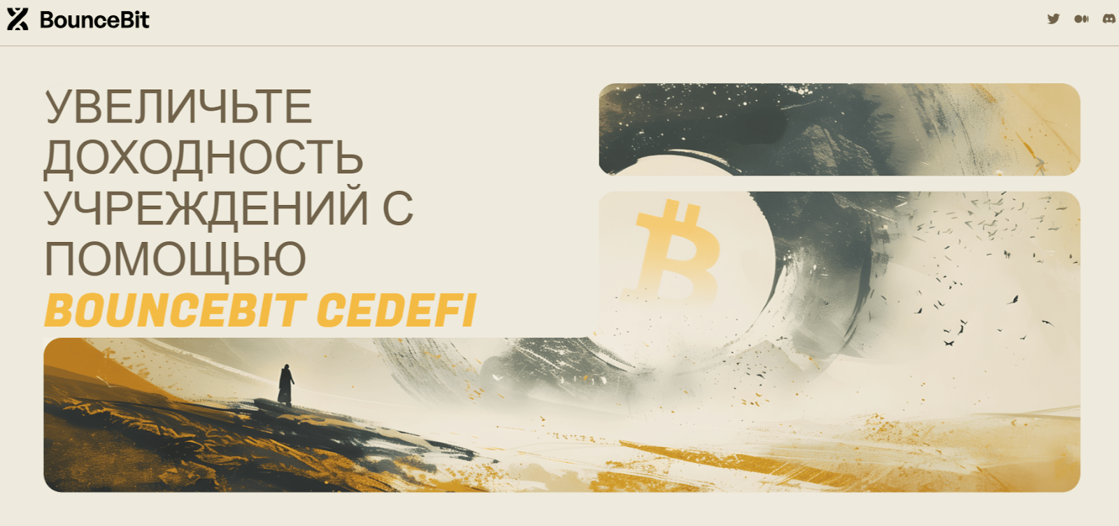 bouncebit