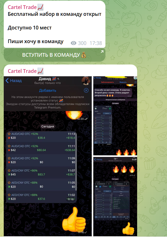 cartel trade телеграм