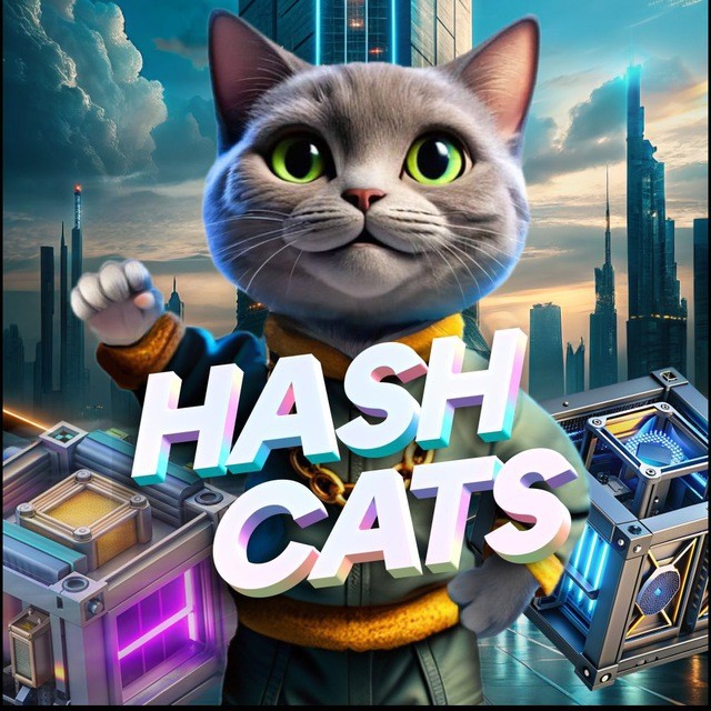 Комбо дня в тапалке Hashcats 12 октября