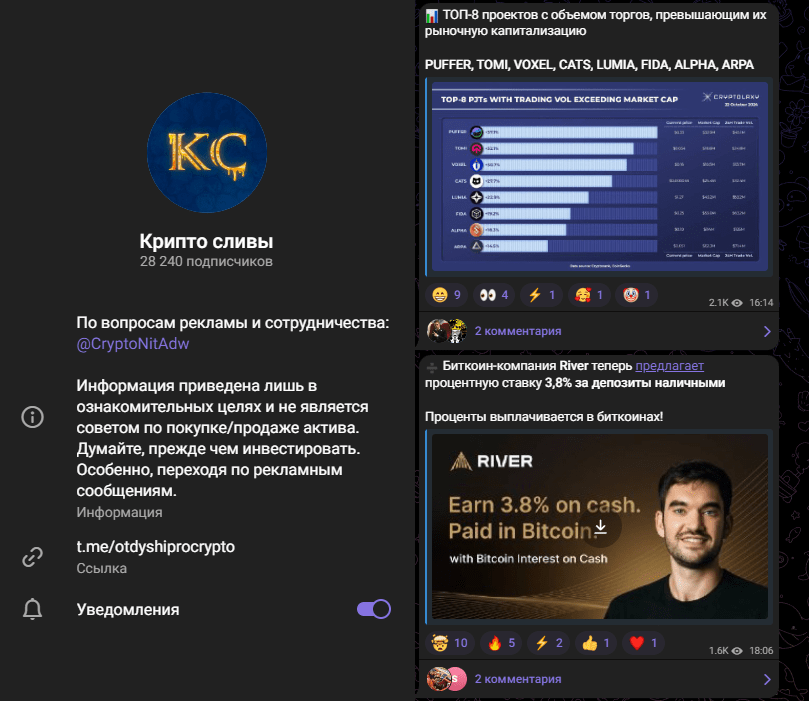 крипто сливы