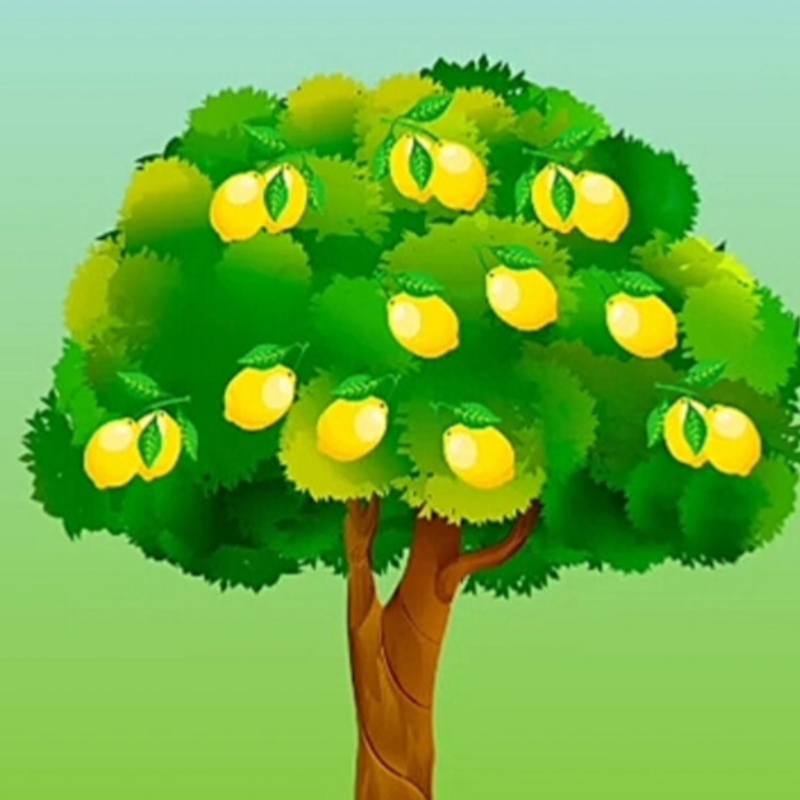 Millionlimon