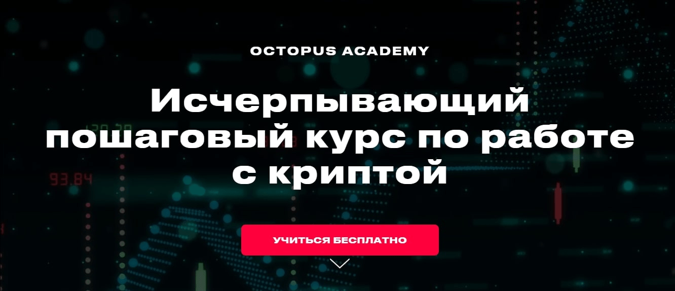 octopus academy отзывы