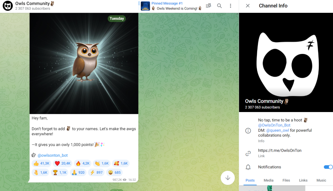 owls бот