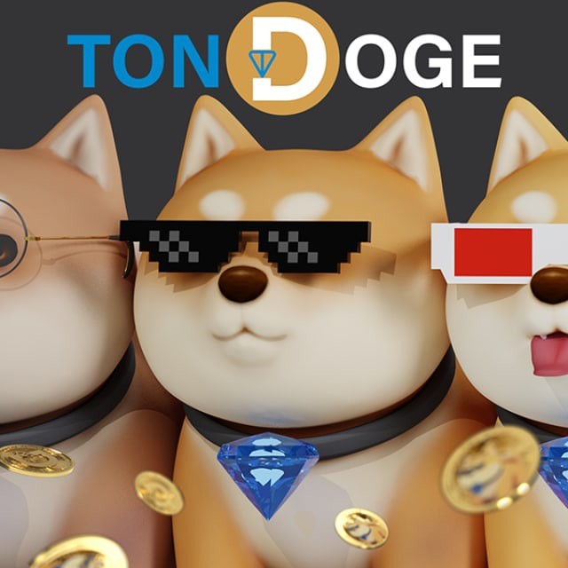 Ton Doge Coin Nft