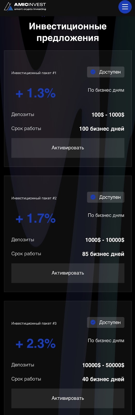 амик инвест