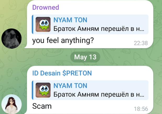 amnyamcoin ton