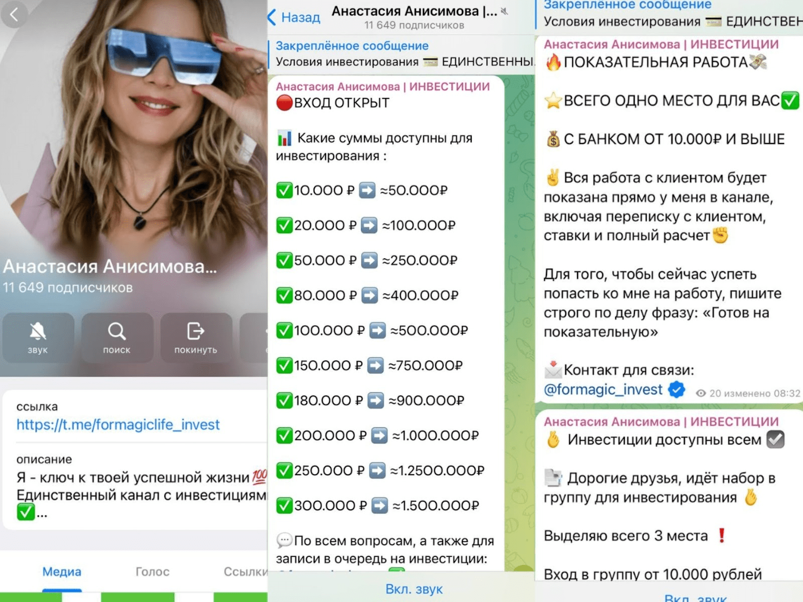 анастасия анисимова визионер курс разоблачение
