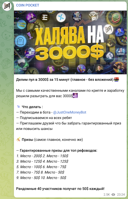 coin pocket telegram