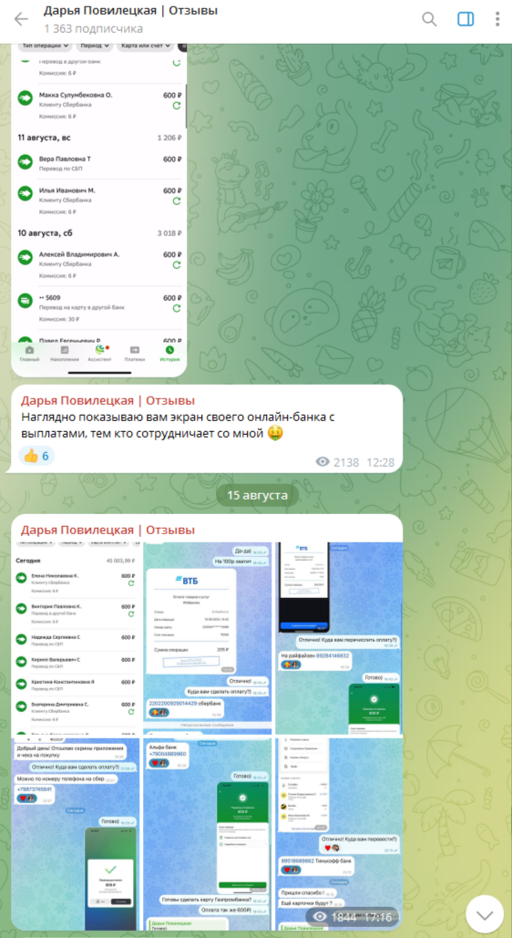 дарья повилецкая заработок