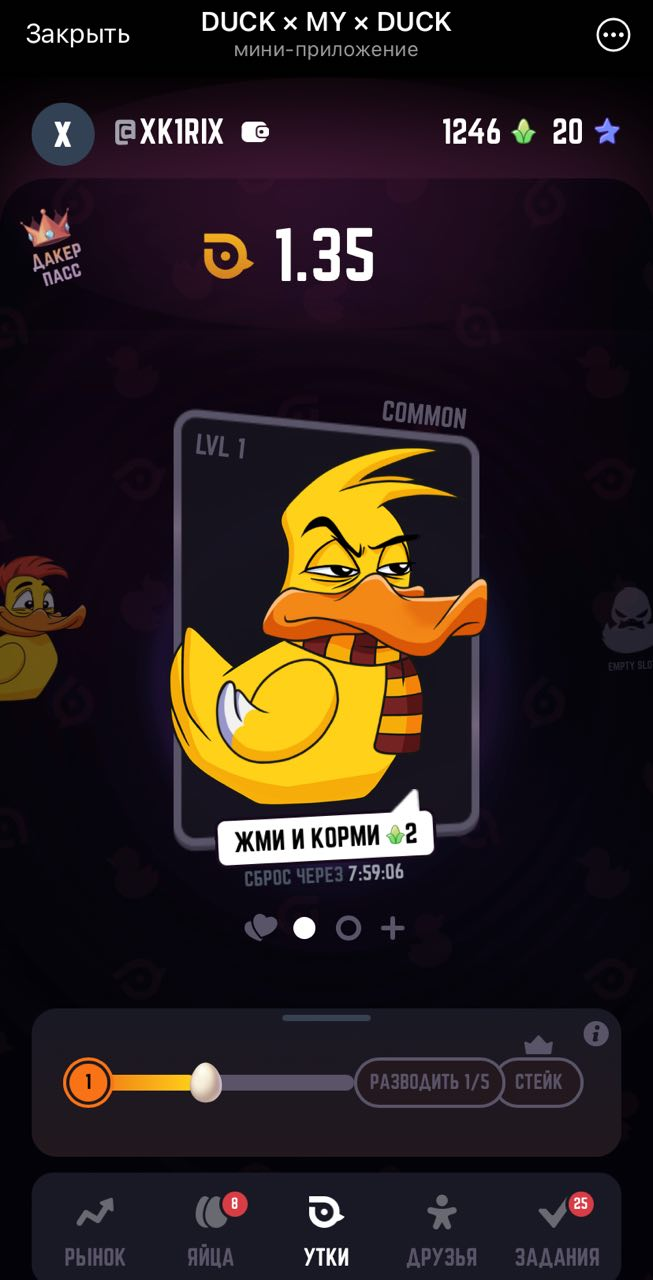 duck my duck бот