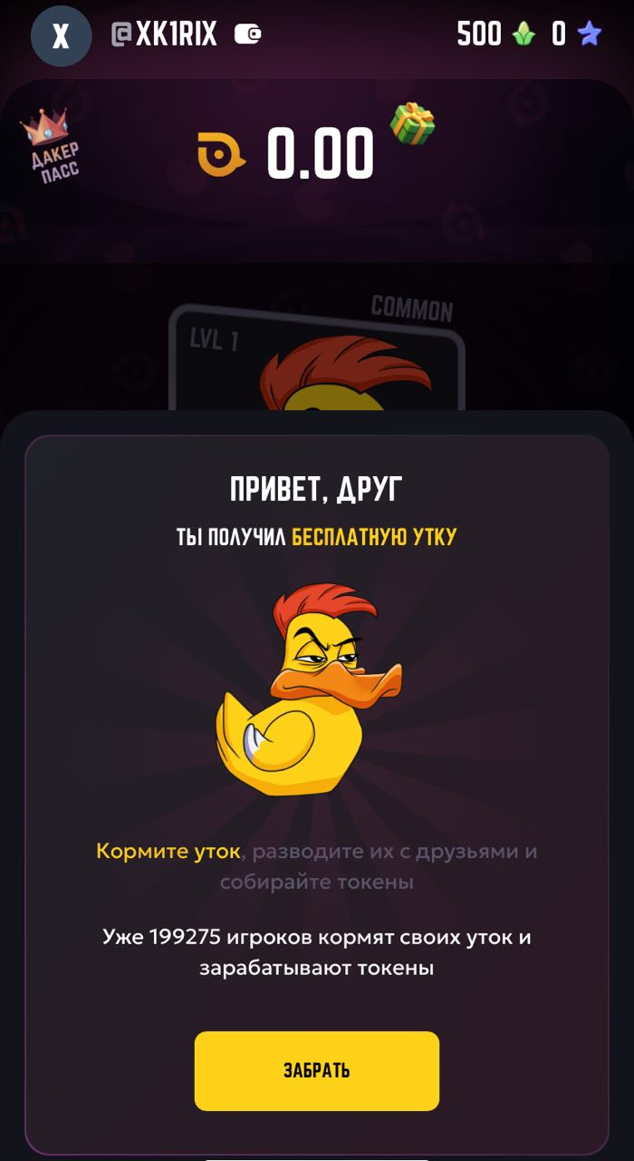 duck my duck телеграмм