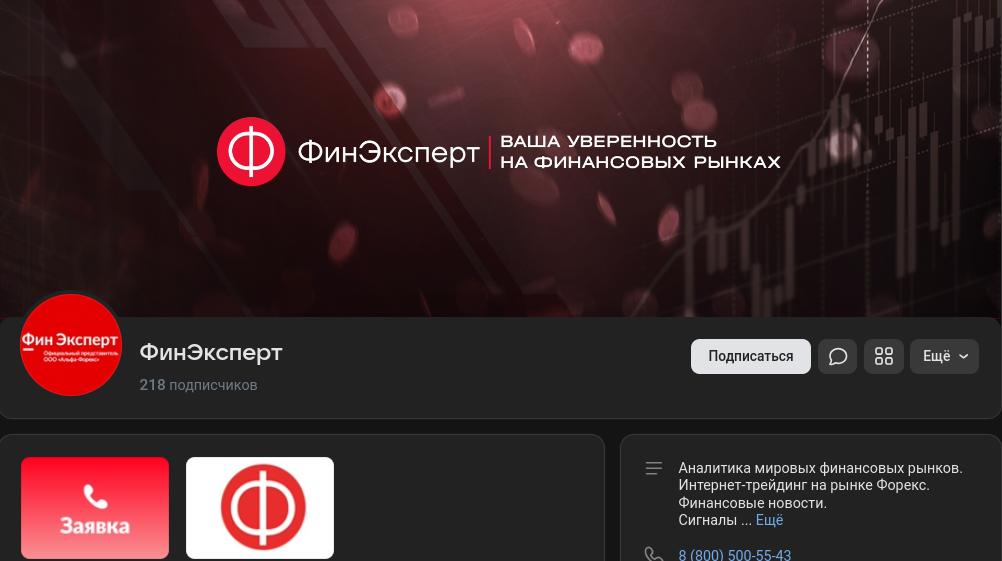 фин эксперт