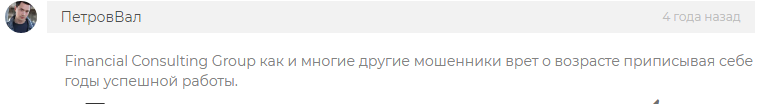 фсг партнерс