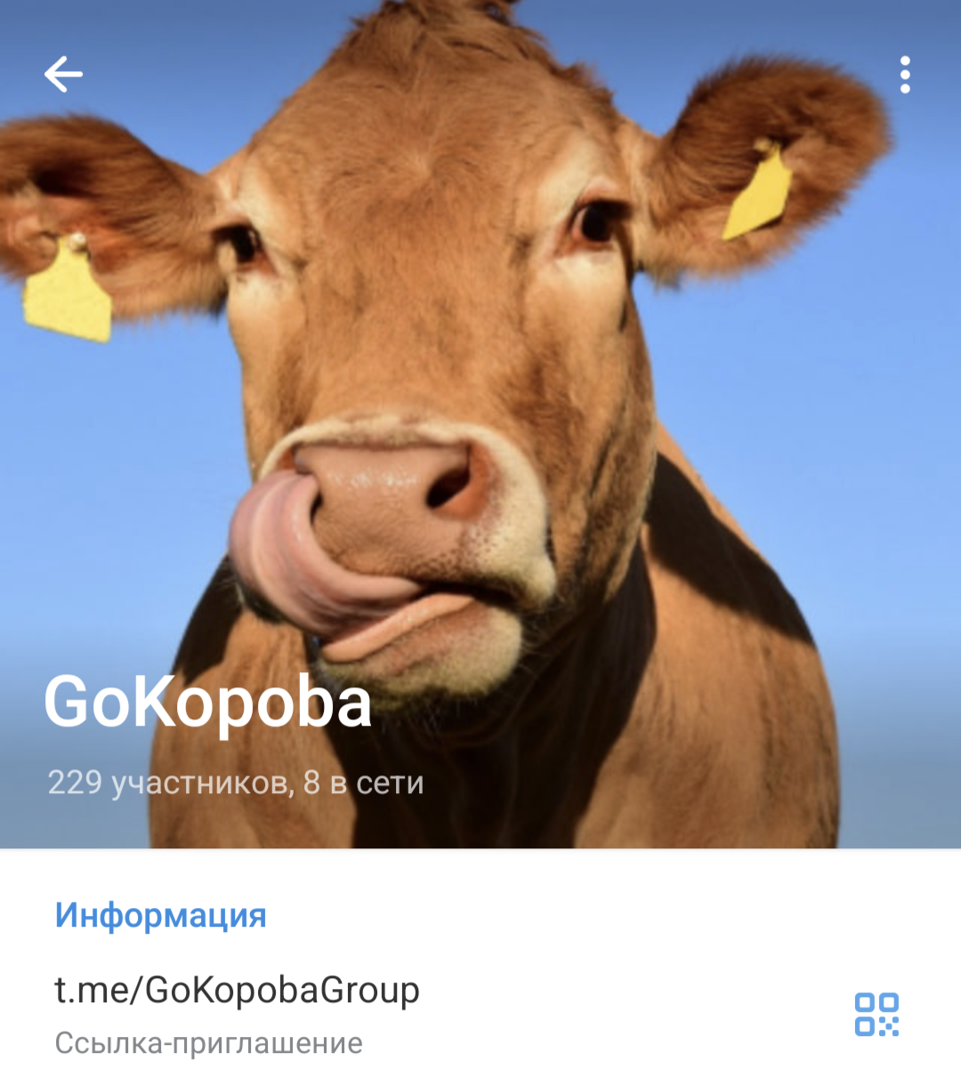 gokopoba com отзывы