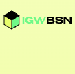 Igw Bsn