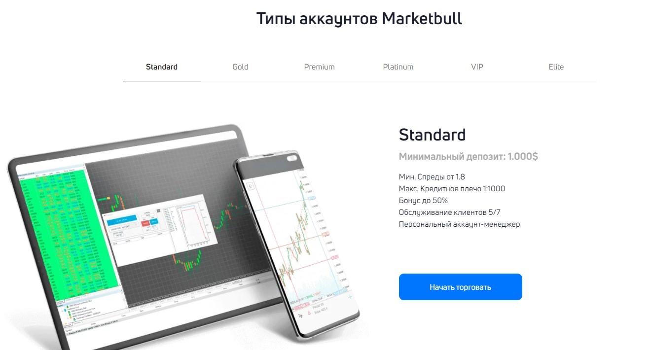 маркет булл