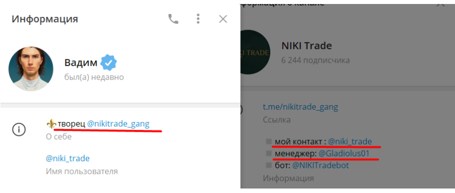 niki trade