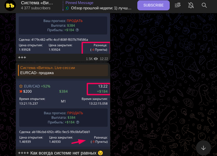 система витязь live сессии