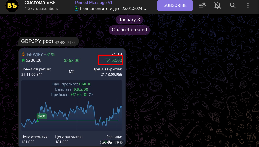 система витязь live сессии