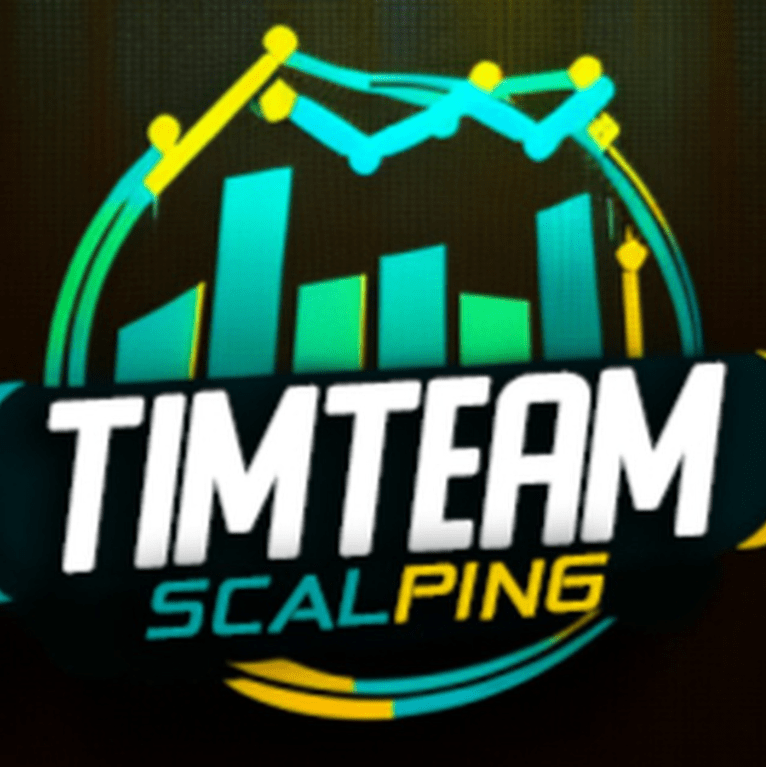 Timteam