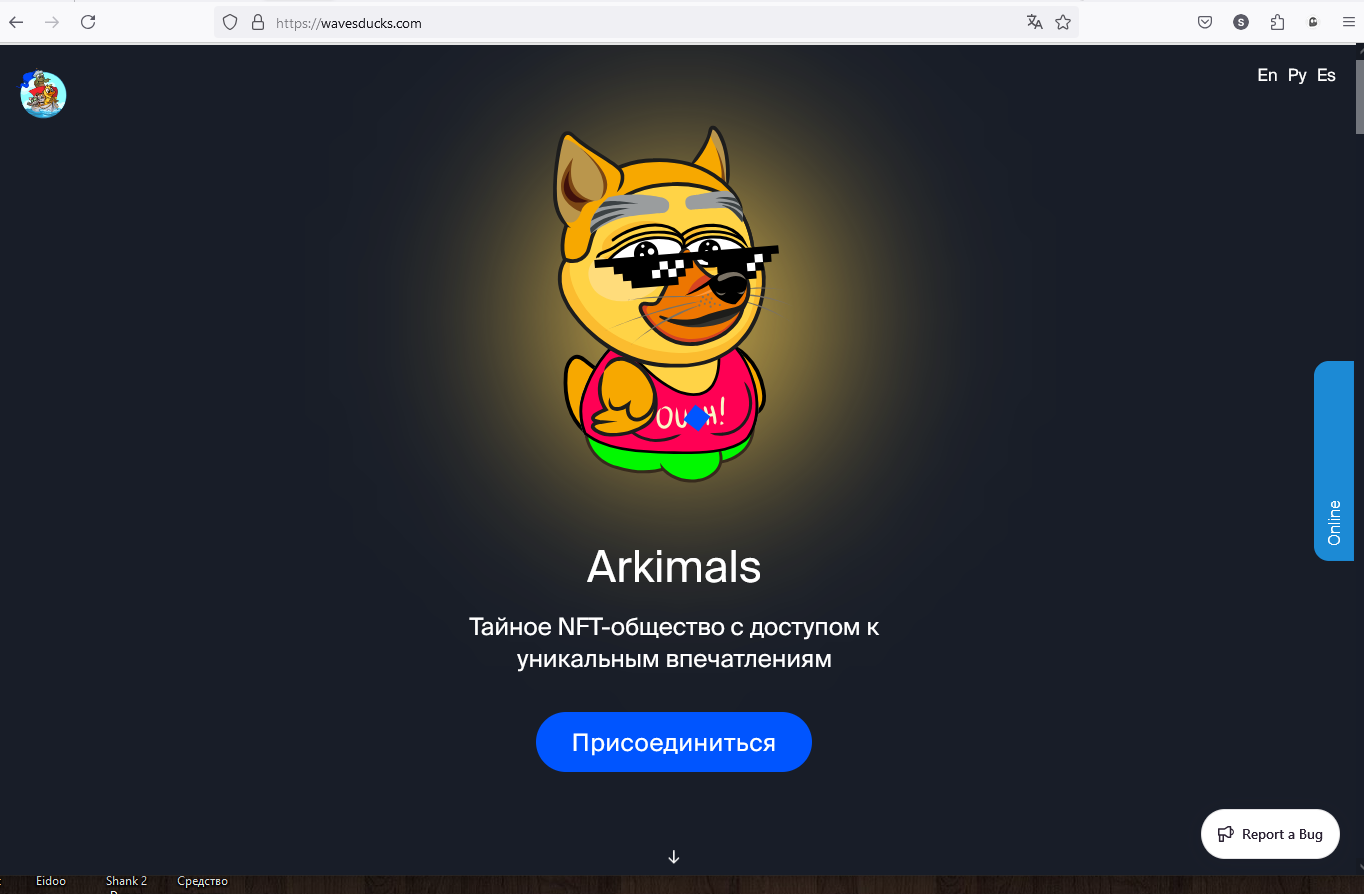 wavesducks com