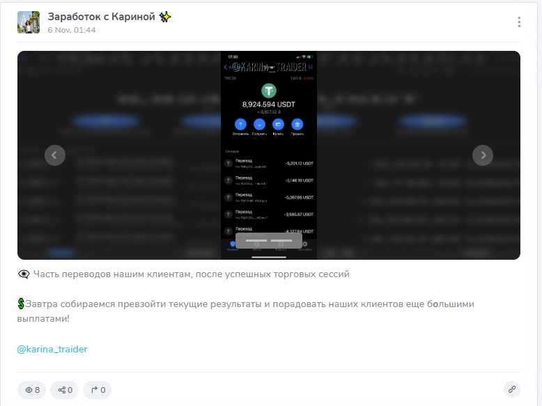 заработок с кариной отзывы