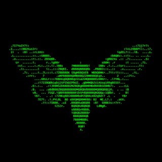 Zicelaqo