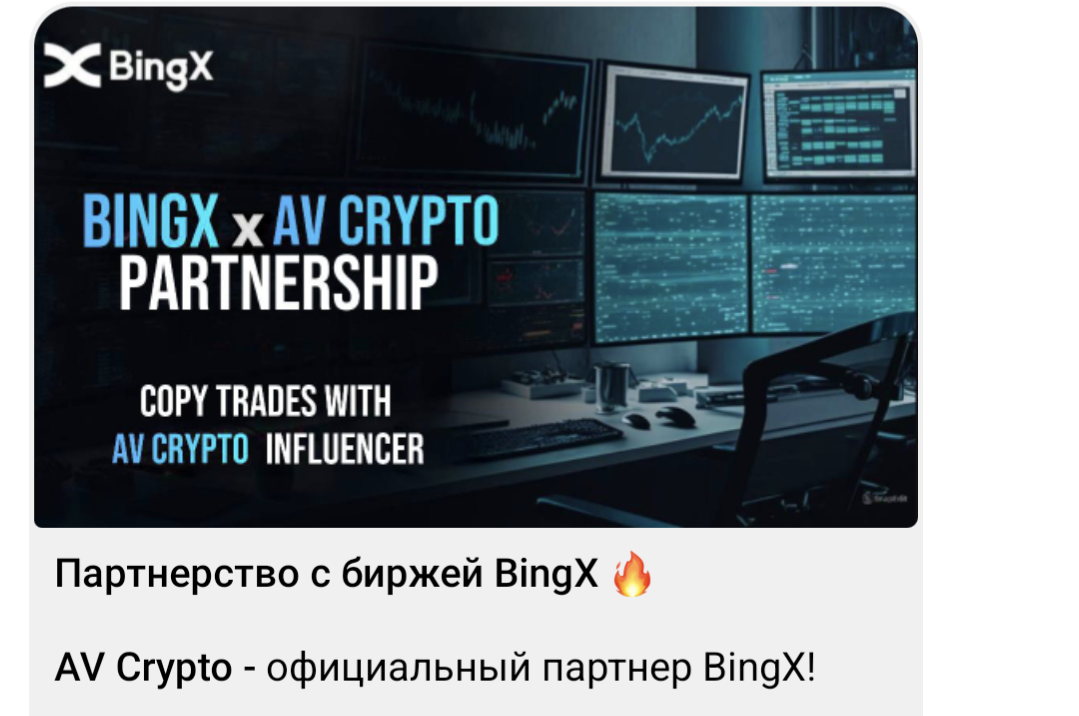 AV Crypto крипта