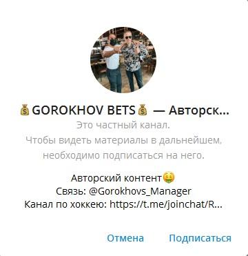 gorokhov boss отзывы