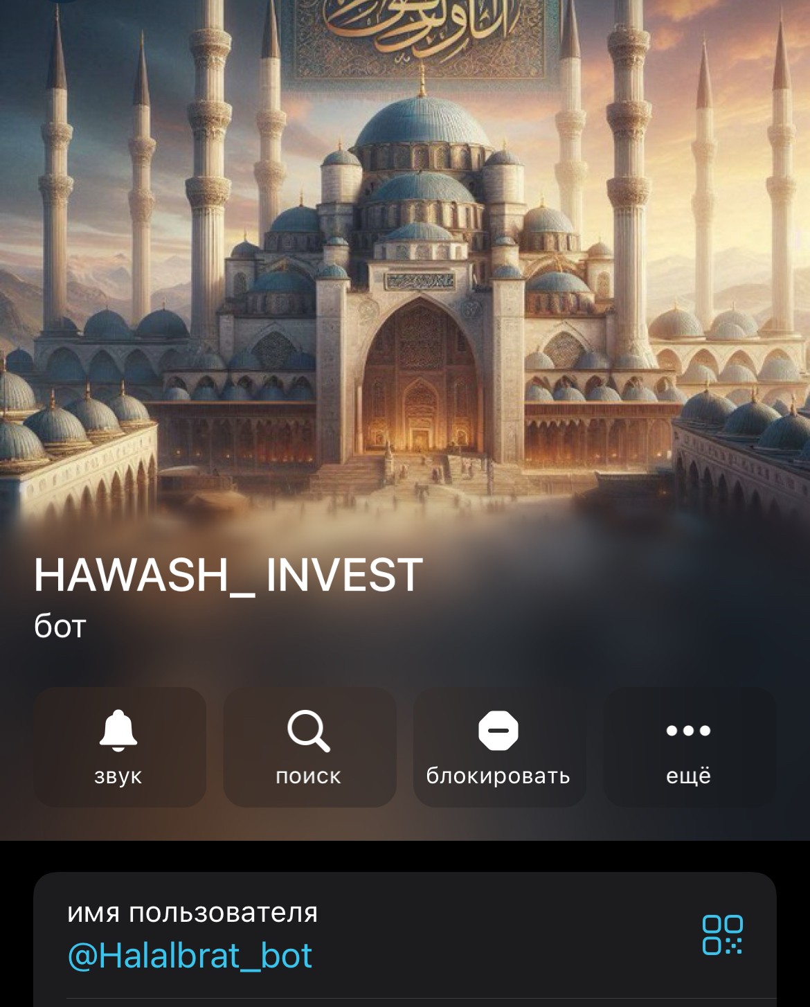 HAWASH INVEST