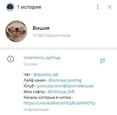 криптовишня