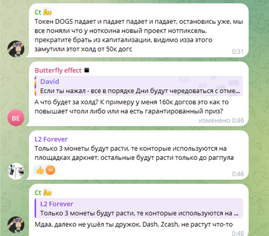 слова dogs treasure hunt