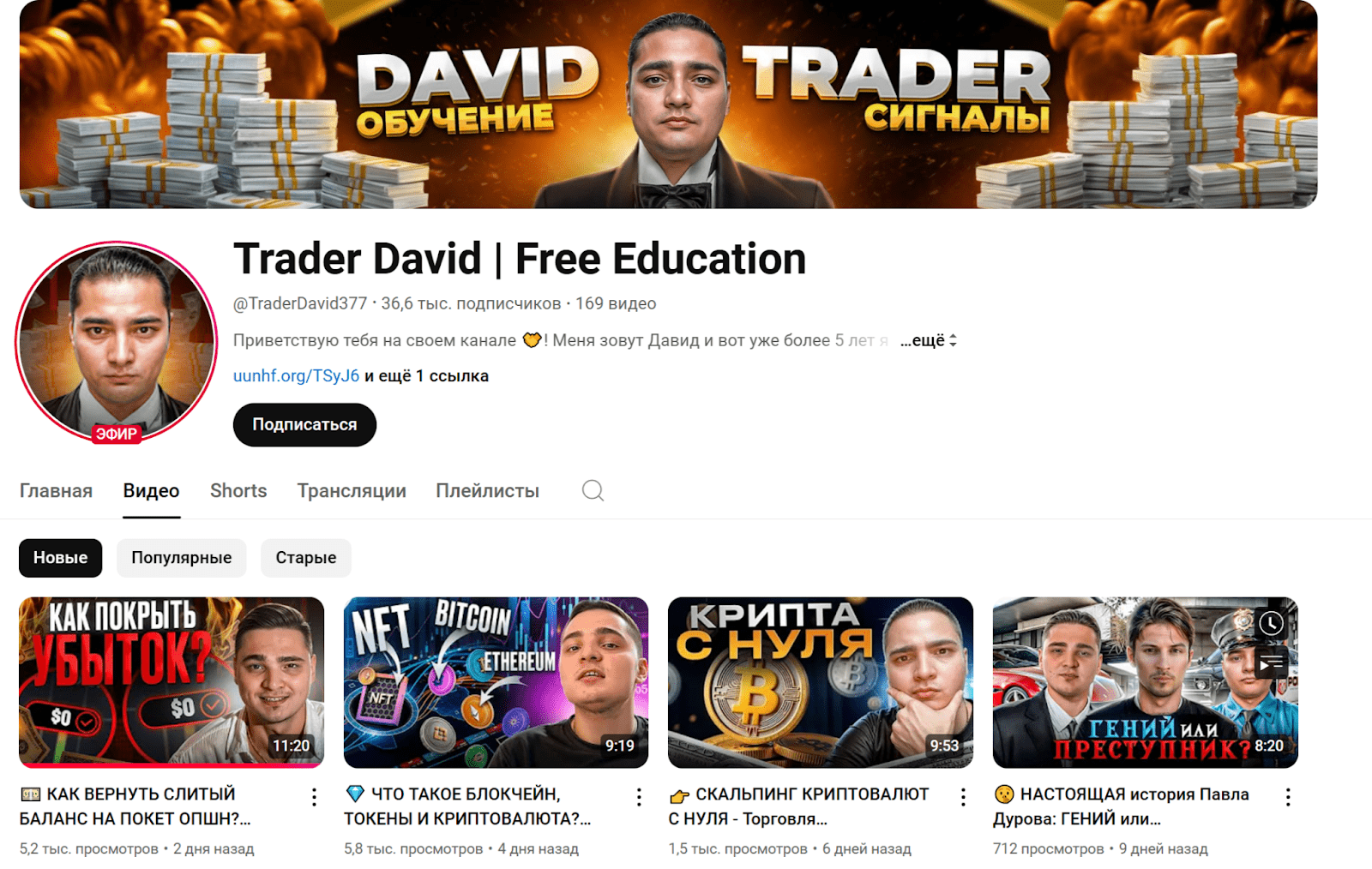 trader david отзывы