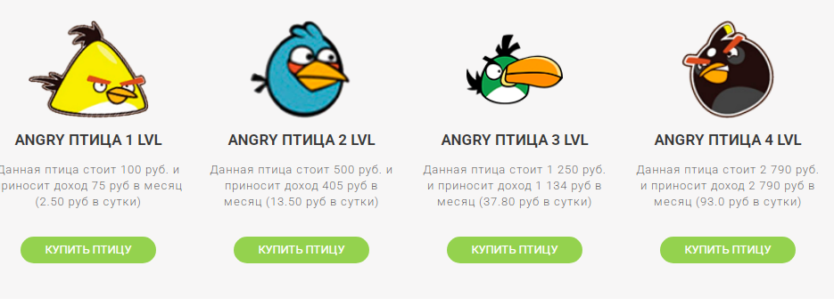 cash birds