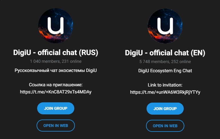 digiu новосибирск