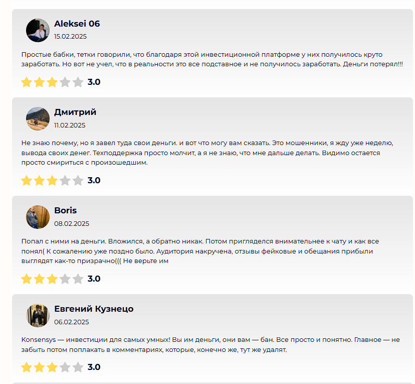 konsensys доход